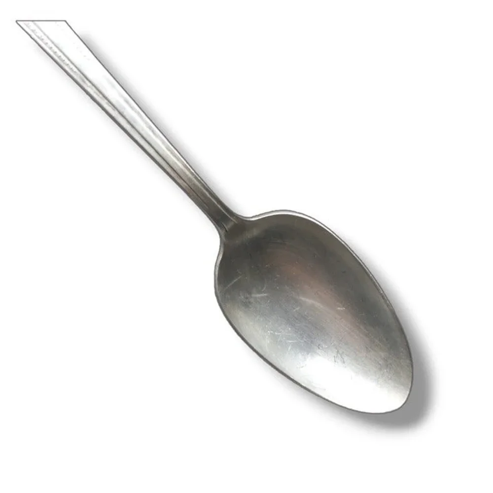 International Silver-Rogers DeLuxe Plate Gracious Tablespoon Serving Spoon-Vtg
